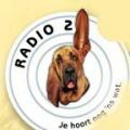 Dutch Radio 2-logo